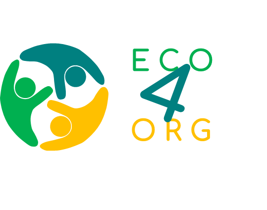 Economy and Ecology for Organizations